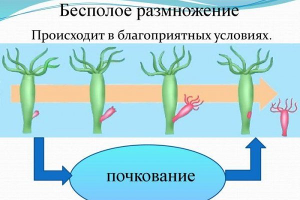 Кракен почему пользователь не найден